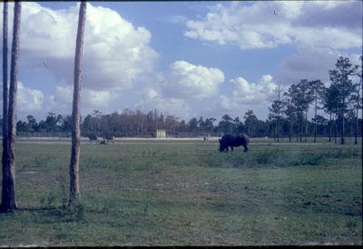 1979-01-06,_USS_Semmes_in_Miamia,_FL_Orange_Bowl_(NP)0031.jpg