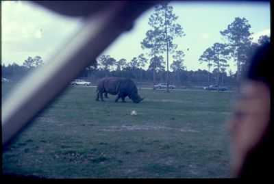 1979-01-06,_USS_Semmes_in_Miamia,_FL_Orange_Bowl_(NP)0033.jpg