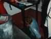 1984-hawkins-crawling-out-of-the-bilges.jpg