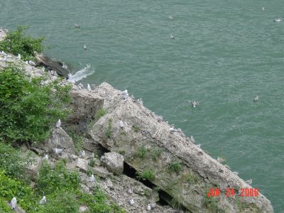 2006-06-24-bishop-03606.JPG