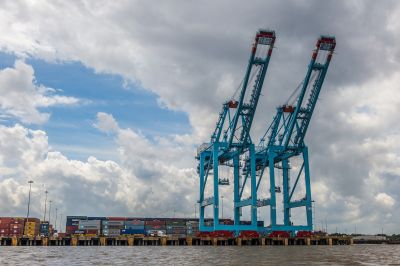 augie_51-_GN_7005-1.jpg