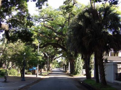 bishop_0393.JPG
