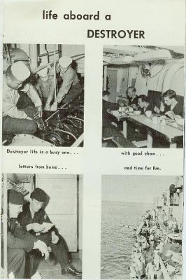 book010.jpg