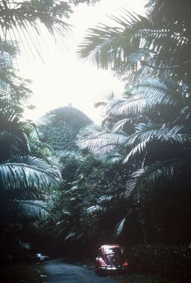 085085-R1-50-51.jpg